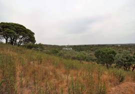 Rural Property in São Francisco da Serra with 9.875000 ha and sea view.