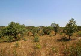 Rural Property in São Francisco da Serra with 9.875000 ha and sea view.