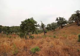 Rural Property in São Francisco da Serra with 9.875000 ha and sea view.