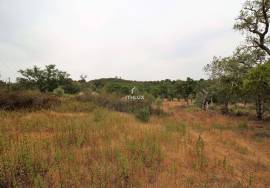 Rural Property in São Francisco da Serra with 9.875000 ha and sea view.