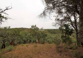 Rural Property in São Francisco da Serra with 9.875000 ha and sea view.
