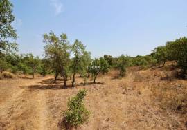 Rural Property in São Francisco da Serra with 9.875000 ha and sea view.