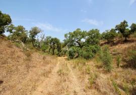 Rural Property in São Francisco da Serra with 9.875000 ha and sea view.