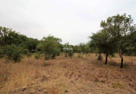 Rural Property in São Francisco da Serra with 9.875000 ha and sea view.