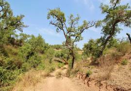 Rural Property in São Francisco da Serra with 9.875000 ha and sea view.