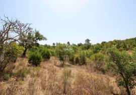 Rural Property in São Francisco da Serra with 9.875000 ha and sea view.