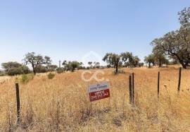 Land of 8000 m2, with project for housing | Terena