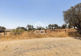 Land of 8000 m2, with project for housing | Terena