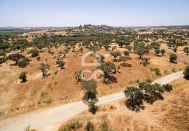 Land of 8000 m2, with project for housing | Terena