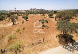 Land of 8000 m2, with project for housing | Terena