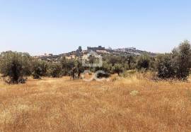Land of 8000 m2, with project for housing | Terena