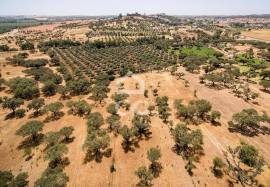 Land of 8000 m2, with project for housing | Terena