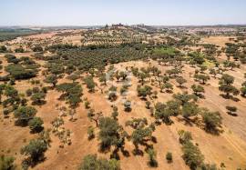 Land of 8000 m2, with project for housing | Terena