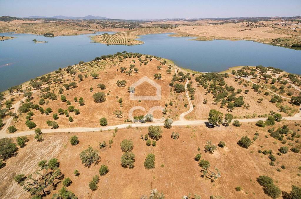 Land of 8000 m2, with project for housing | Terena