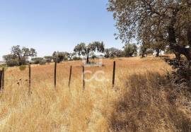 Land of 8000 m2, with project for housing | Terena