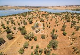 Land of 8000 m2, with project for housing | Terena