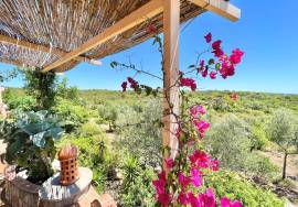 Charming Countryside Villa with 3 Guest Studios near Moncarapacho Charming Countryside Villa with 3 Guest Studios near Moncarapacho