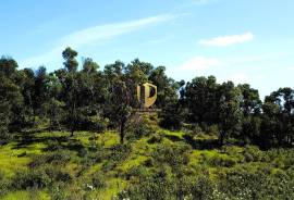 Land near the Odeleite dam, with project approved for Rural Hotel, on land of 70.6 hectares