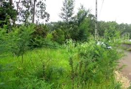 Excellent land with 1560M2 for construction, next to the road and near the Levada do Rei in S. Jorge Excellent land with 1560M2 for construction, next to the road and near the Levada do Rei in S. Jorge