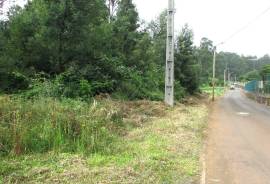 Excellent land with 1560M2 for construction, next to the road and near the Levada do Rei in S. Jorge