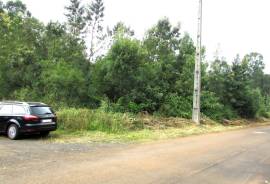 Excellent land with 1560M2 for construction, next to the road and near the Levada do Rei in S. Jorge Excellent land with 1560M2 for construction, next to the road and near the Levada do Rei in S. Jorge