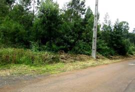Excellent land with 1560M2 for construction, next to the road and near the Levada do Rei in S. Jorge Excellent land with 1560M2 for construction, next to the road and near the Levada do Rei in S. Jorge