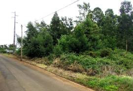 Excellent land with 1560M2 for construction, next to the road and near the Levada do Rei in S. Jorge Excellent land with 1560M2 for construction, next to the road and near the Levada do Rei in S. Jorge