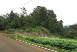 Excellent land with 1560M2 for construction, next to the road and near the Levada do Rei in S. Jorge Excellent land with 1560M2 for construction, next to the road and near the Levada do Rei in S. Jorge