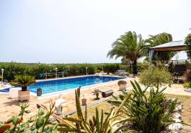 4 bedroom villa nestled in the countryside with ample space.