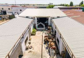 Warehouse Campo Maior