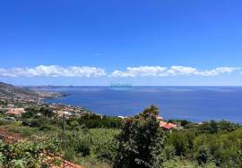 Land for Construction