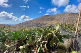 2 Bedroom Finca For Sale