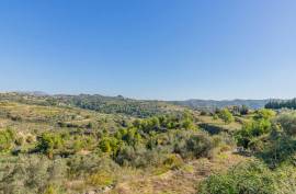 7 Bedrooms - Finca - For Sale 7 Bedrooms - Finca - For Sale