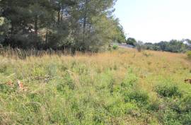 Land - For Sale