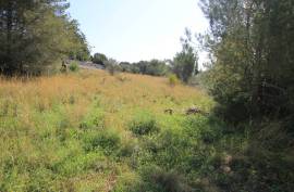 Land - For Sale