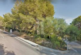 Land - For Sale