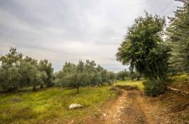Agricultural 4883 sq.m for sale