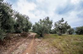 Agricultural 4883 sq.m for sale
