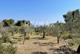 Agricultural 4205 sq.m for sale