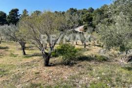 Agricultural 4205 sq.m for sale