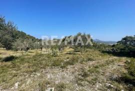 Agricultural 4205 sq.m for sale