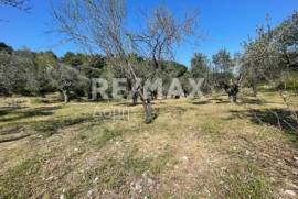 Agricultural 4205 sq.m for sale
