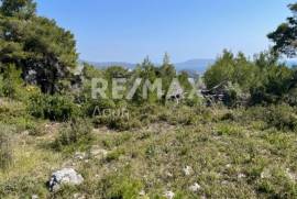 Agricultural 4205 sq.m for sale