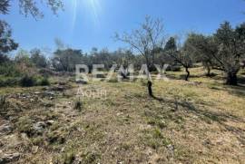 Agricultural 4205 sq.m for sale