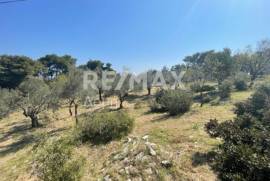 Agricultural 4205 sq.m for sale