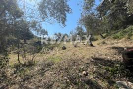 Agricultural 4205 sq.m for sale