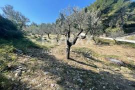 Agricultural 4205 sq.m for sale