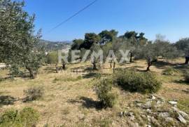 Agricultural 4205 sq.m for sale