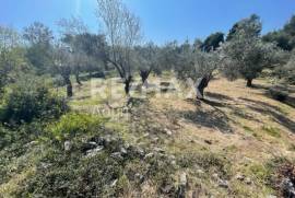Agricultural 4205 sq.m for sale
