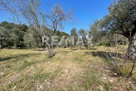 Agricultural 4205 sq.m for sale
